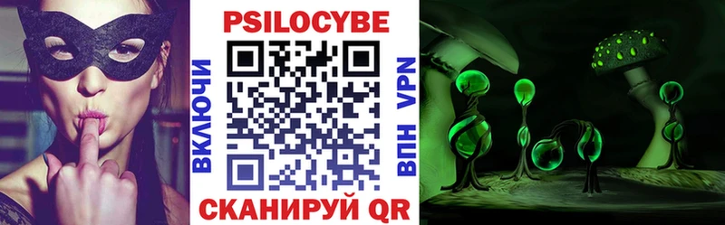 Купить закладки  Торопец  Галлюциногенные грибы Psilocybe 