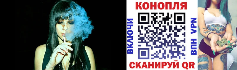 Купить закладки  Торопец  Шишки марихуана конопля 